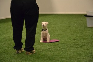 Foto: Kathrine M. Bratteng