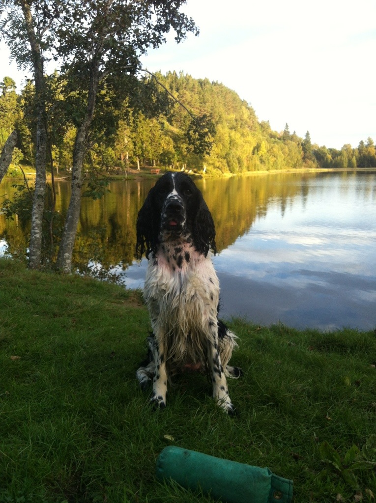 20130909-205759.jpg