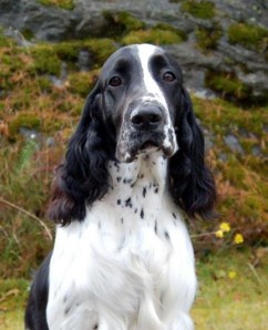 Winton Waiting For The Sun