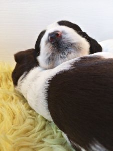 Favorittbilder_uke_2-07