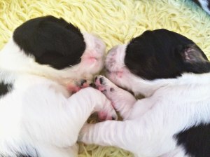 Favorittbilder_uke_2-08