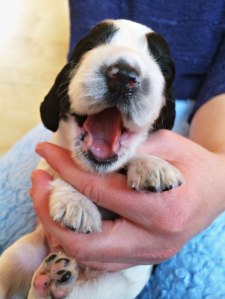 Favorittbilder_uke_2_01