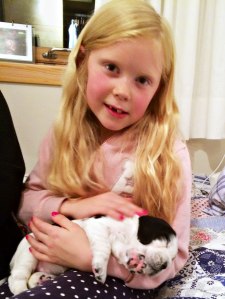 Favorittbilde_uke_3_01