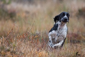 2015-Alexa&Bitten-080