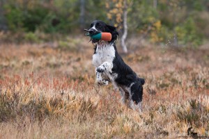 2015-Alexa&Bitten-089