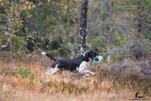 2015-Alexa&Bitten-127