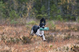 2015-Alexa&Bitten-136