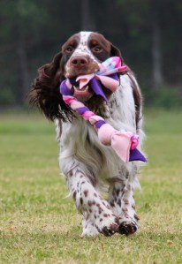 Bilde 26.11.2015, 18.42.20