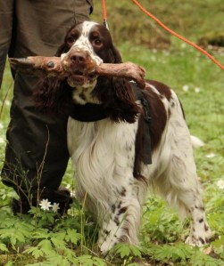 Bilde 28.12.2015, 21.34.37