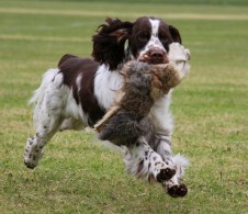 Bilde 28.12.2015, 21.35.06