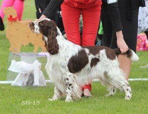 Bilde 28.12.2015, 21.35.13