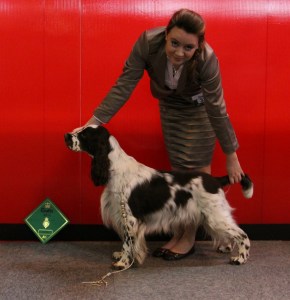 Bilde 29.12.2015, 18.32.18