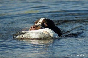 Bilde 29.12.2015, 18.32.31