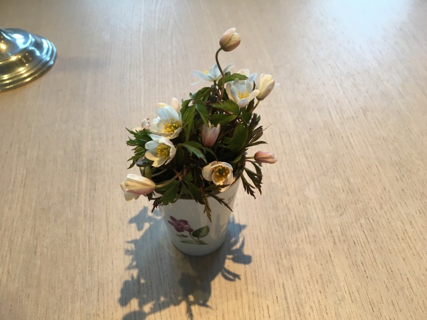 Bilde 24.04.2016, 20.29.26