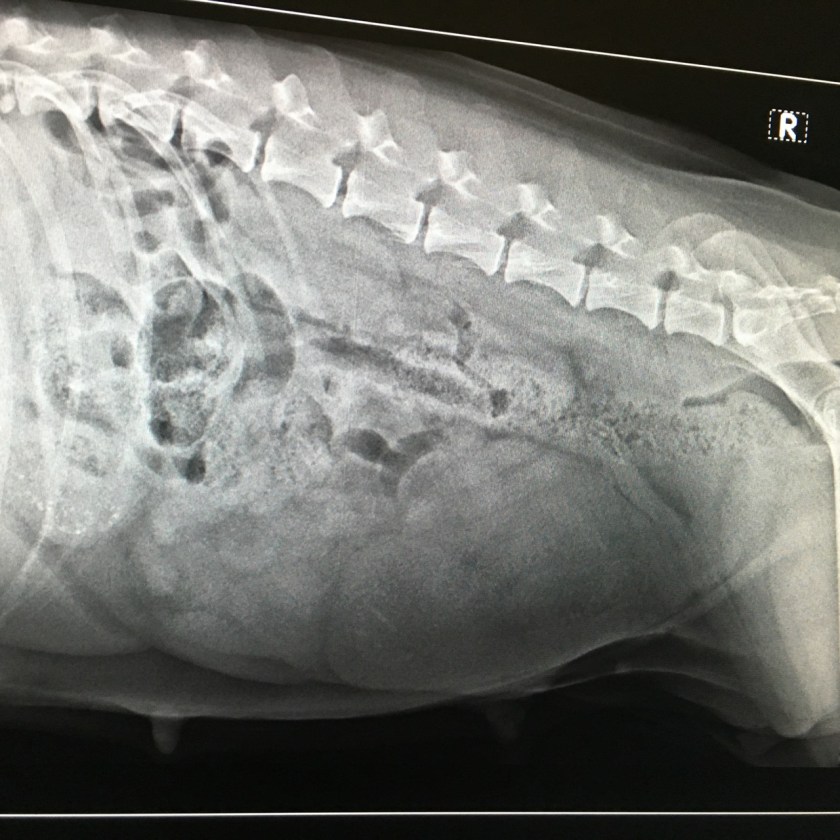 Bilde 30.06.2016, 09.20.35