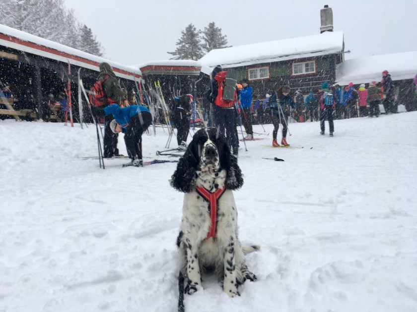 fullsizerender_1240_px