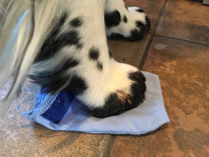 Måle størrelsen på potesokk