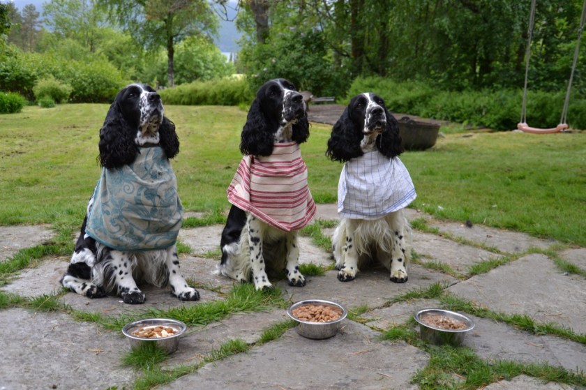 juni-birka-b-drektig-foring_1240_px