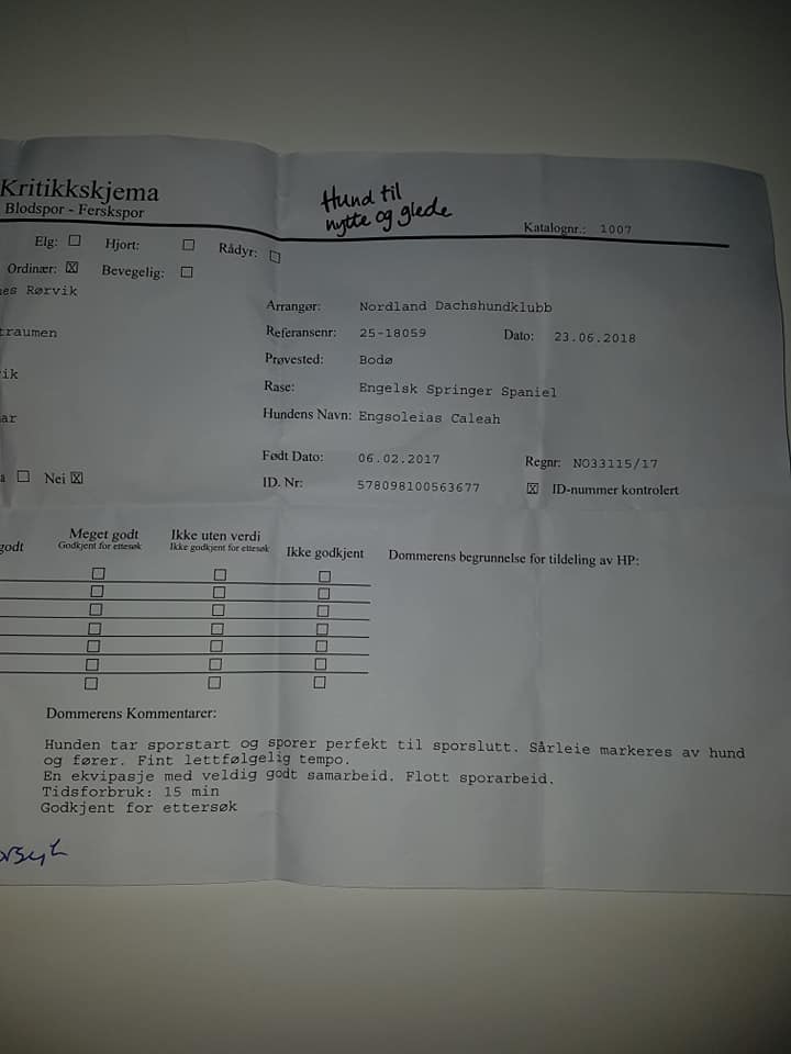 35884831_10160488806030361_438938205882941440_n