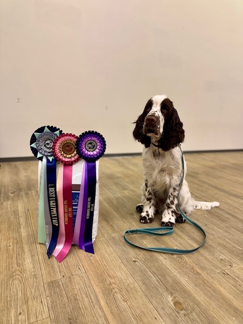 Merseyside Highlight (Barney)