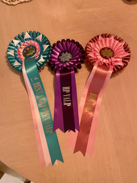 Rosetter fra valpeshow 23.2.25